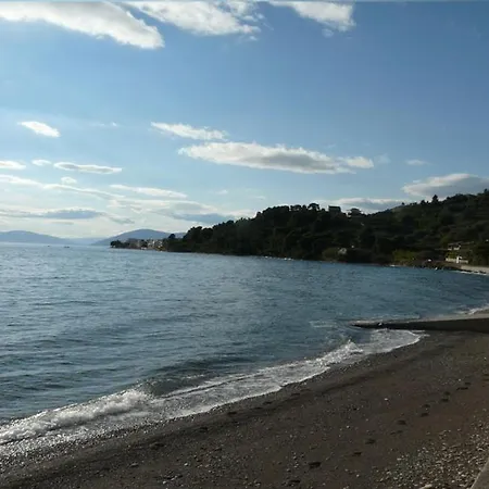 Dennis House * Khrónia